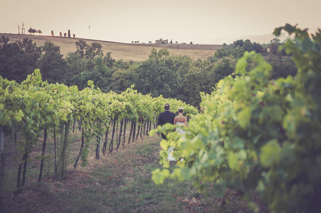 matrimonio-tra-le-vigne