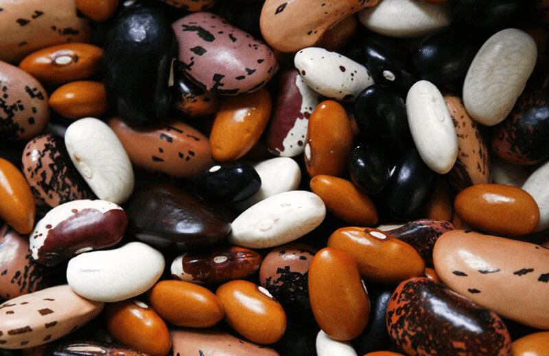 10th November, time of legumes