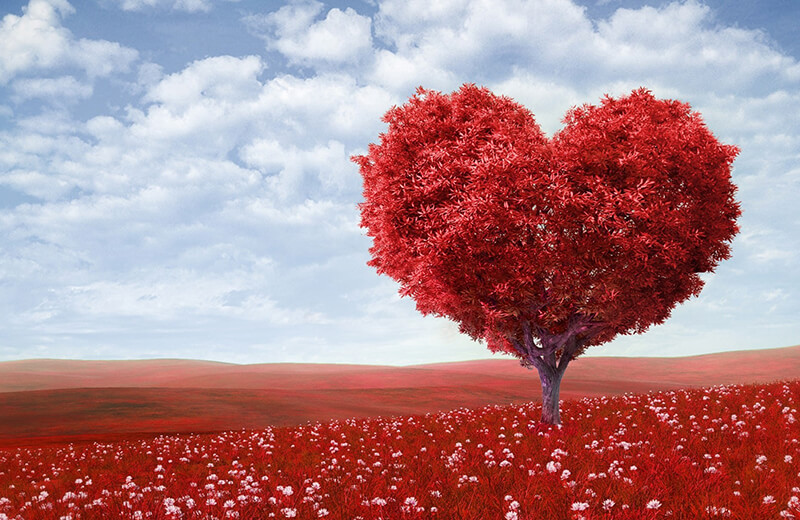 Hug me, Love me:  our proposal for Valentine’s Day