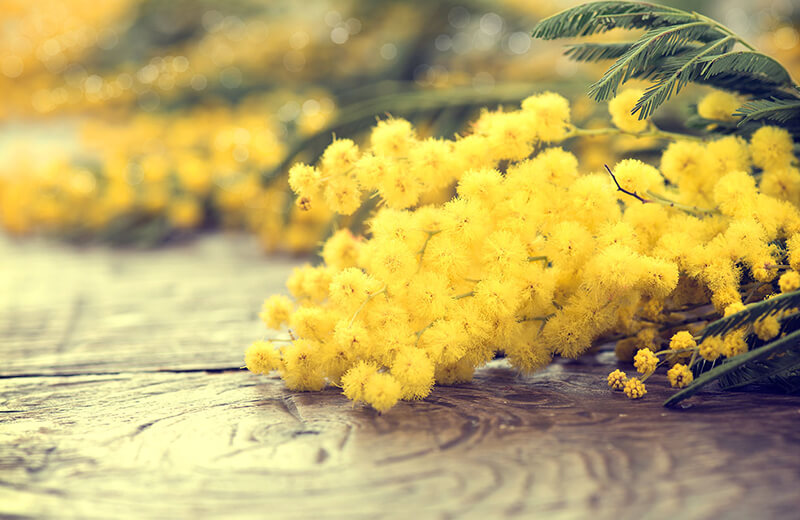 Women’s Day: a yellow menu !