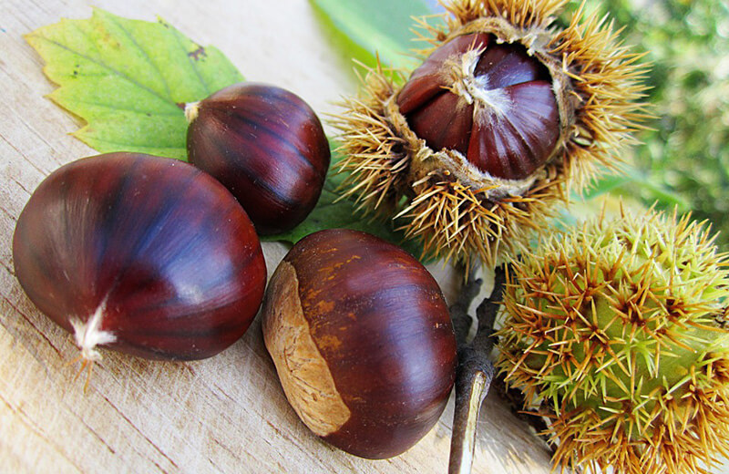 Friday November 2nd: chestnuts, what goodness!