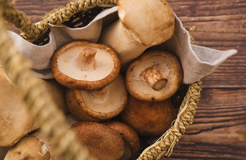 Friday October 19th, mushroom time